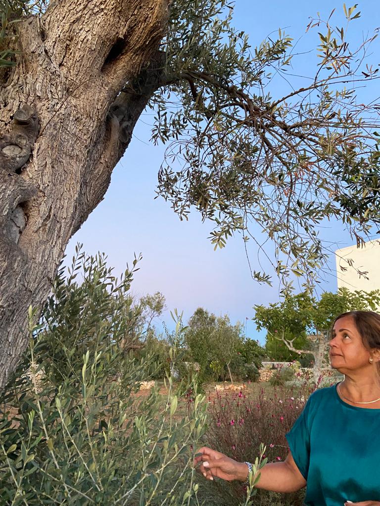 Dr. Femida Gwadry-Sridhar looking up at an olive tree